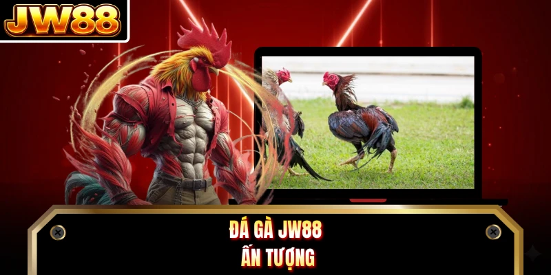 Đá gà DN88 ấn tượng